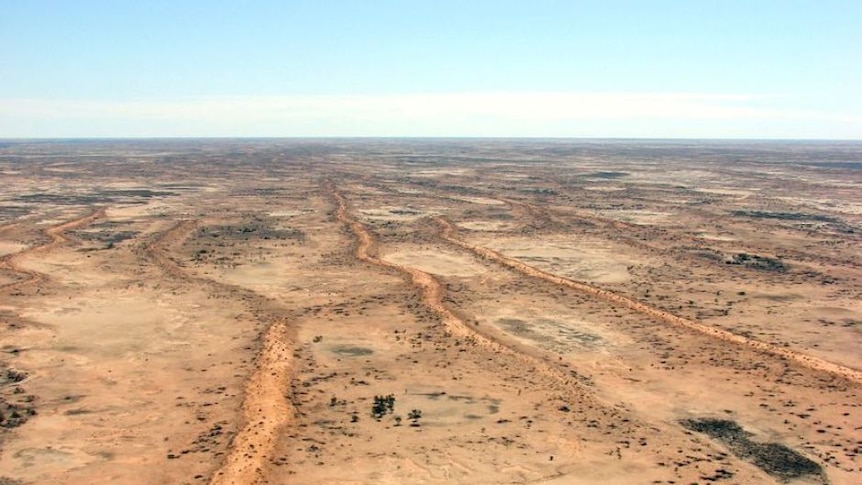 Sturt's Stony Desert