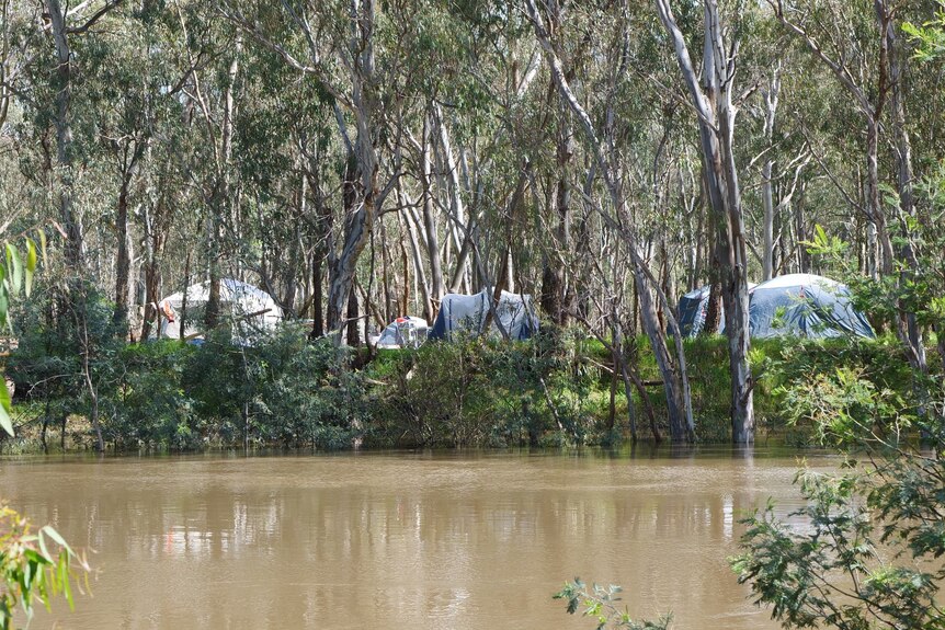 Four tents are pictured on the other side of a river, among gum trees, with the water of the swollen river below. 
