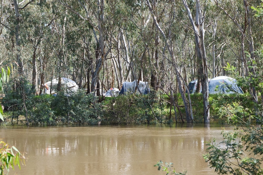 Four tents are pictured on the other side of a river, among gum trees, with the water of the swollen river below. 