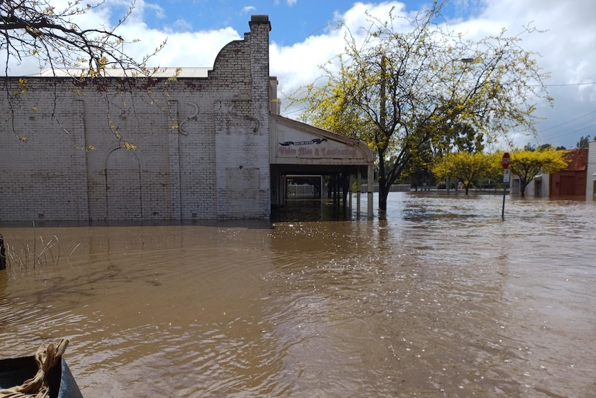 Water flows down a country road, with the height evident from the side of a business and a tree. 