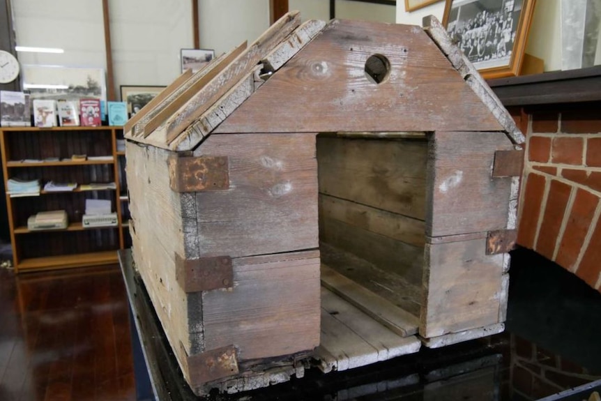 A wooden Wardian Case with a hole cut into its side.