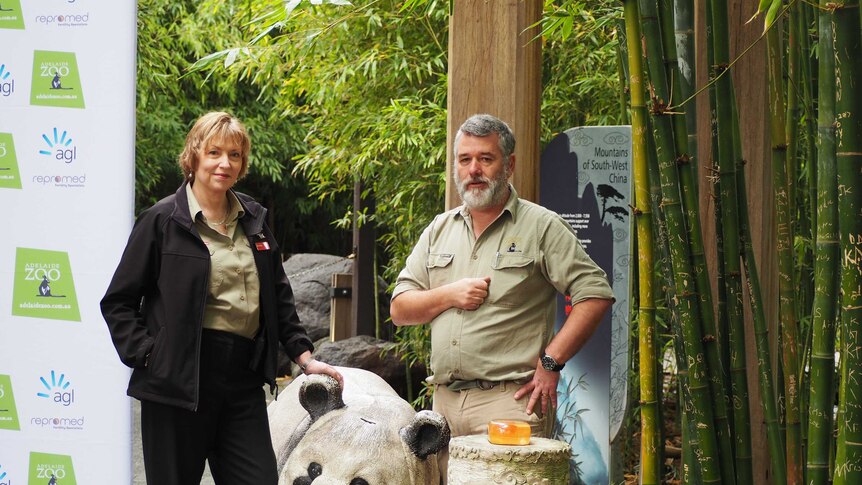 Adelaide Zoo chief executive Elaine Bensted with vet Ian Smith outside the zoo's panda enclosure.