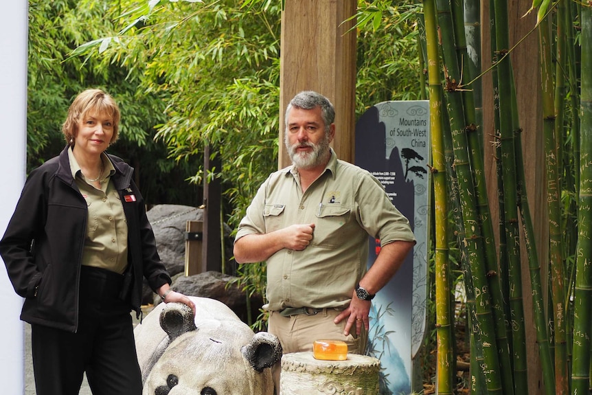 Adelaide Zoo chief executive Elaine Bensted with vet Ian Smith outside the zoo's panda enclosure.