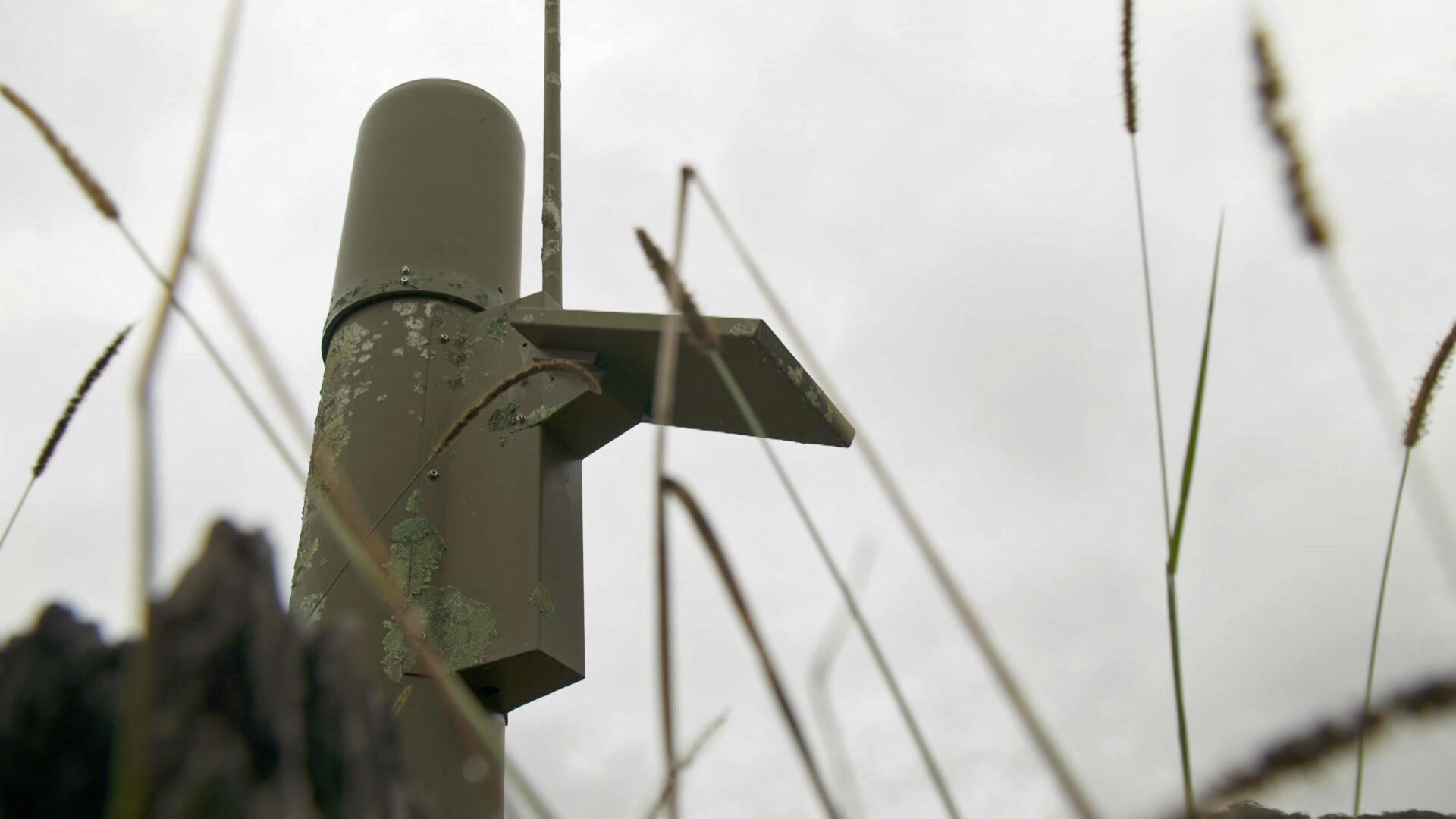 A green pole with an antenna attached.