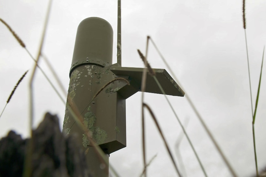 A green pole with an antenna attached.