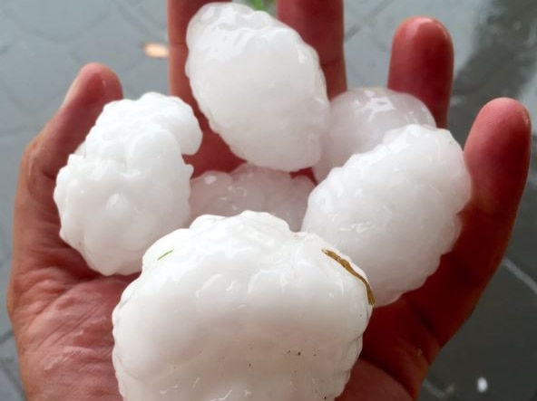 Large white hailstones sit in the palm of a person's hand.