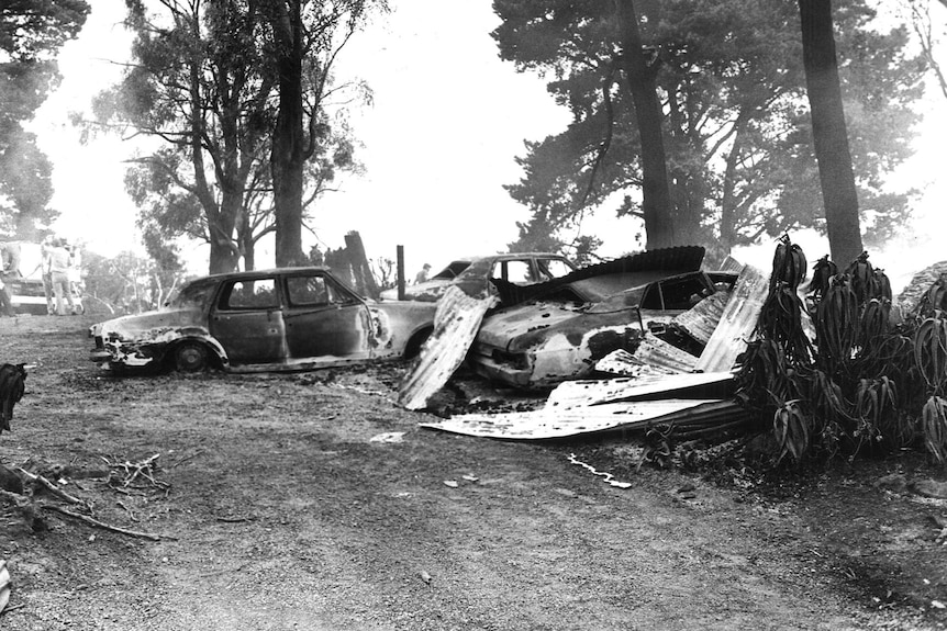 Burnt out cars and other debris in the Dandenongs in the aftermath of the Ash Wednesday fire.