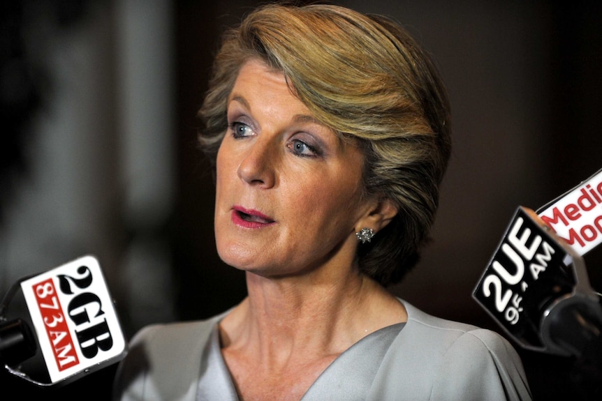 Julie Bishop speaks during a press conference in Canberra.