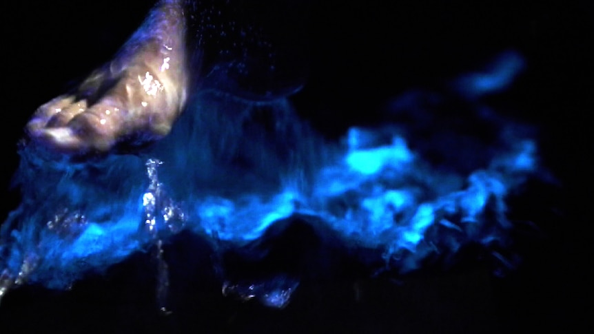 A foot wading through water is covered with a blue glow