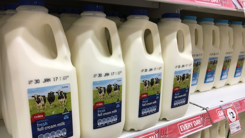 Milk on shelves in the supermarket