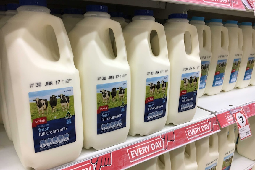 Milk on shelves in the supermarket