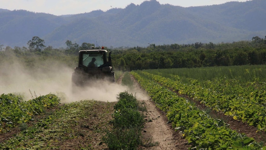 a tractor ploughing crops into the soil