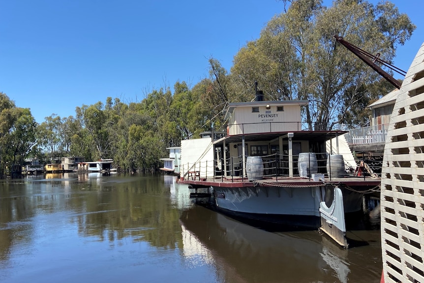 Paddlesteamers amarrados en el río Murray 