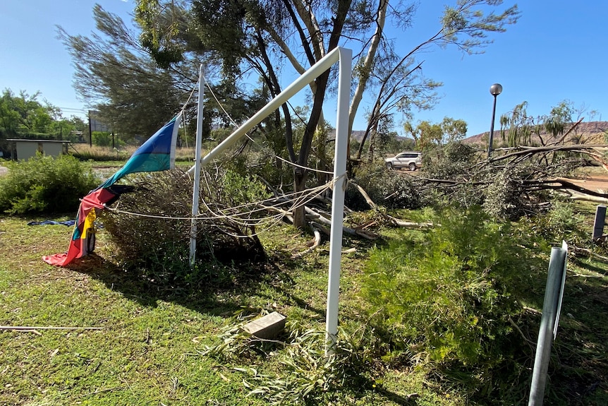 a flag pole bent over among fallen trees on a school campus