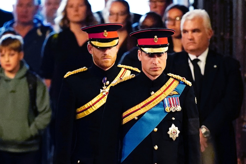 Princes Harry and William in full military dress uniforms stand in front of a crowd