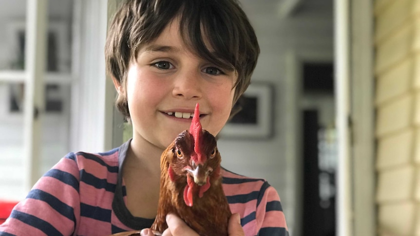 A young boy smiles while holding a brown hen, for a story about best pets for young children.