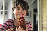 A young boy smiles while holding a brown hen, for a story about best pets for young children.