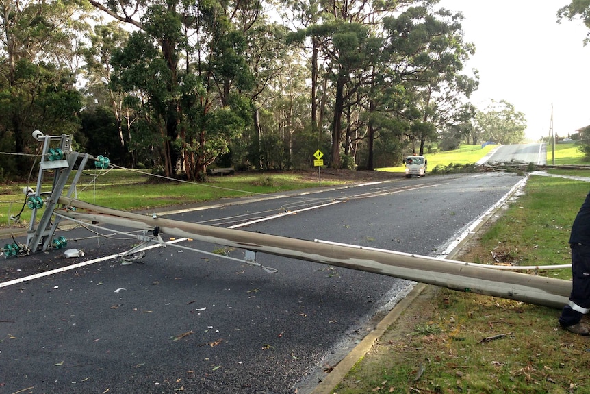 A fallen tree brought down a power pole in Lawrence Drive, Devonport