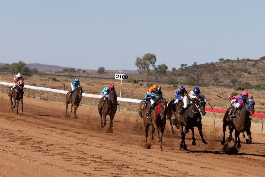 multiple horses racing on a dirt track 