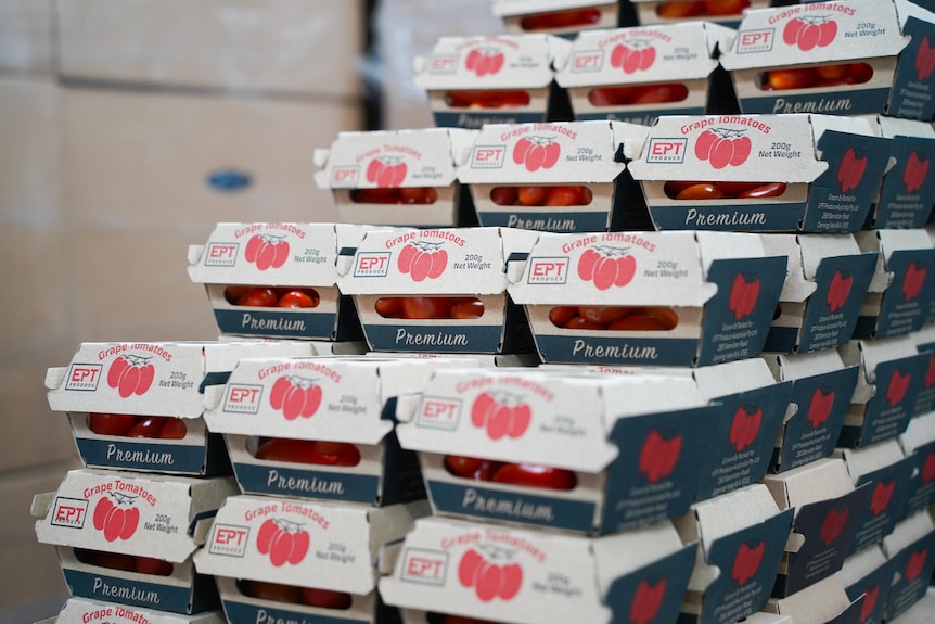 Stacks of cardboard boxes containing grape tomatoes