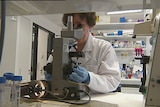 A female researcher looks through a microscope *good generic