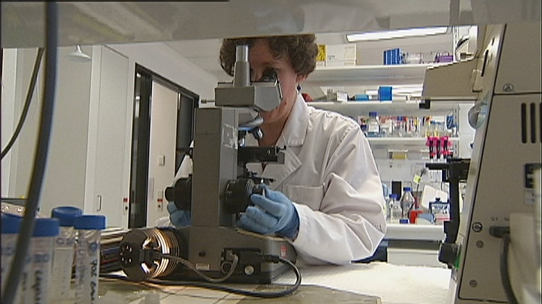 A researcher looks through a microscope