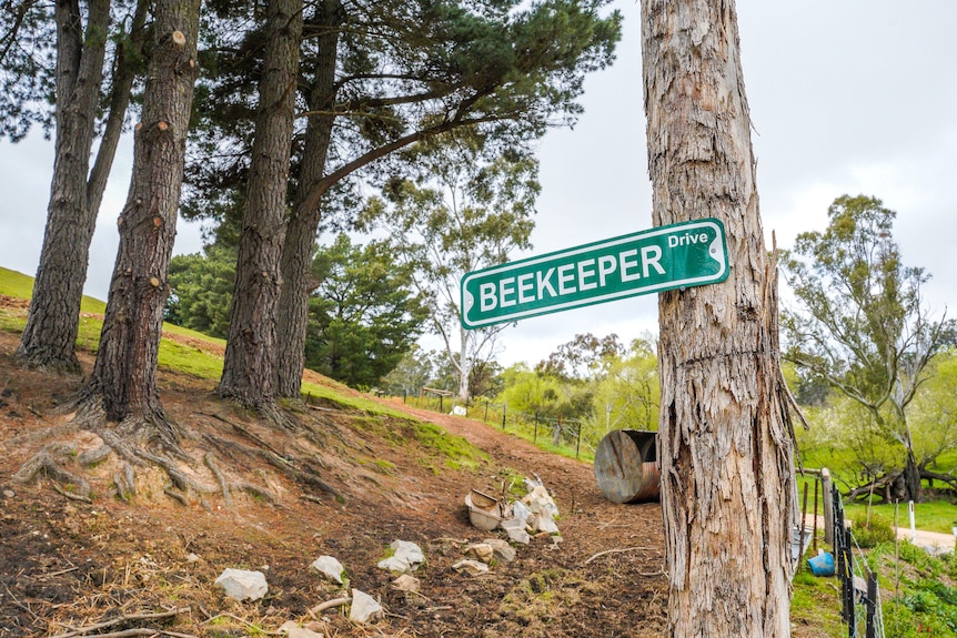 A green 'Beekeeper Drive' sign nailed to a tree on a grassy hill.