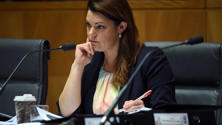 Sarah Hanson-Young during the Senate inquiry