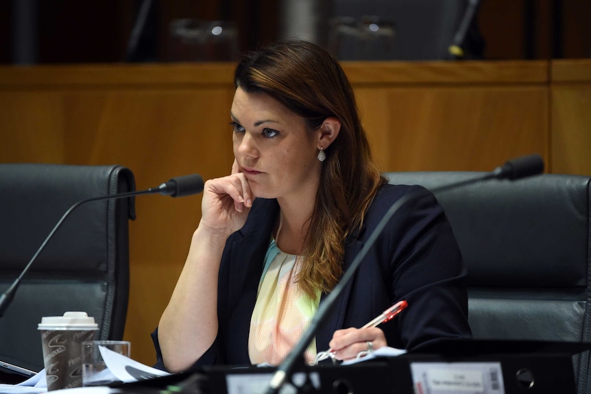 Sarah Hanson-Young at a Senate Inquiry