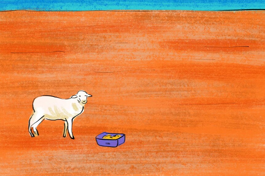 Illustration of a sheep on dry, red earth during drought
