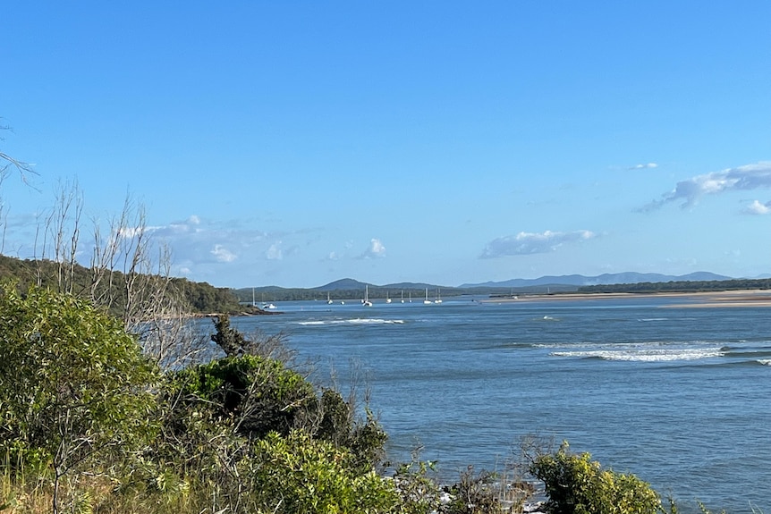 1770's Marina seen in the distance from the area's headland