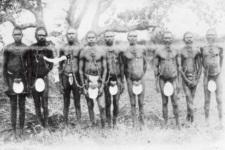 Chained Aboriginal prisoners wearing riji (carved pearl shell) as they stand int he mangroves of Broome c.1910
