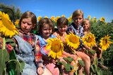 kids sitting on a tractor holding sunflowers
