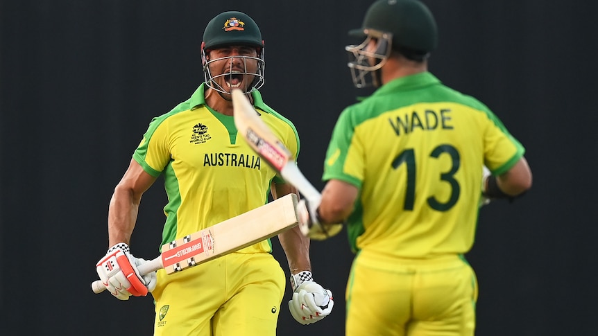 Marcus Stoinis yells as Matt Wade runs toward him, both carrying their bats