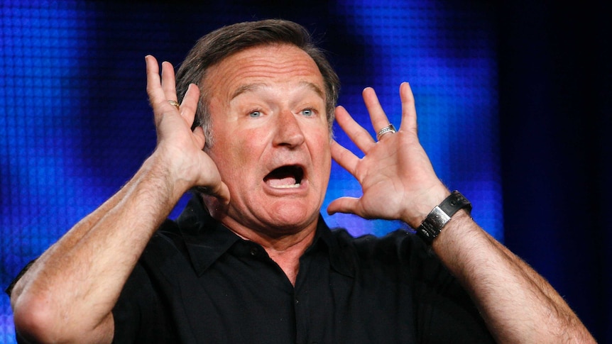Robin Williams gestures during a panel discussion