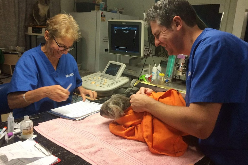 Two people smile, with a koala.