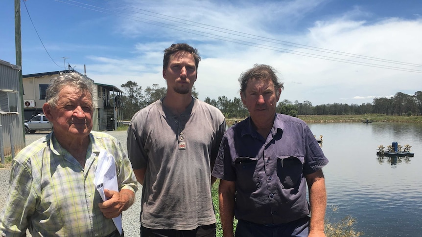 Prawn farmers Elwyn Truloff, Simon Rossmann and Ian Rossmann have been wiped out due to a detection of white spot disease on their farms