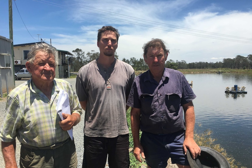 Prawn farmers Elwyn Truloff, Simon Rossmann and Ian Rossmann