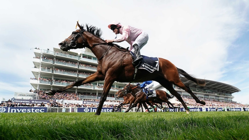 A jockey dressed in pink rides a brown horse in front of a crowd at Epsom Racecourse earlier this year.
