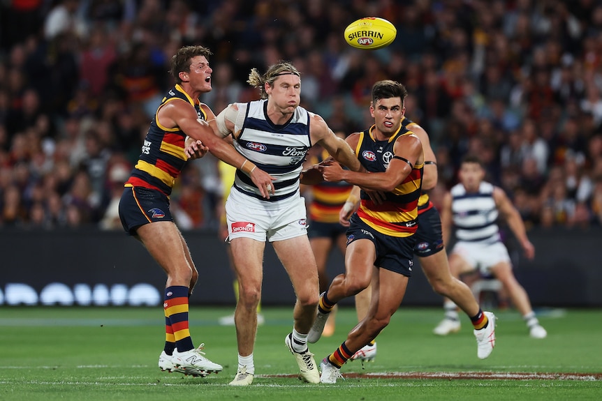 A Geelong player grimaces as he contests the ball with an Adelaide player on either side of him.