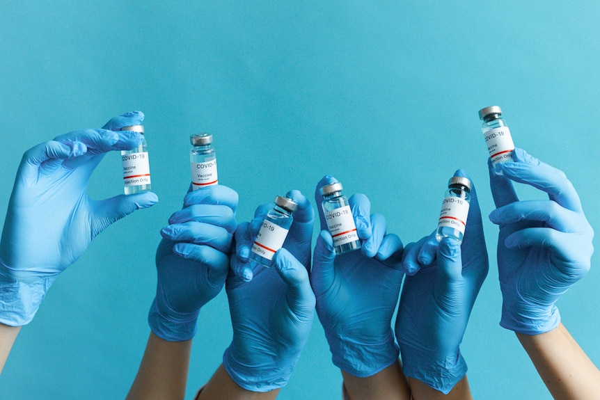 A generic stock photo of a row of gloved hands holding up COVID-19 vaccines.