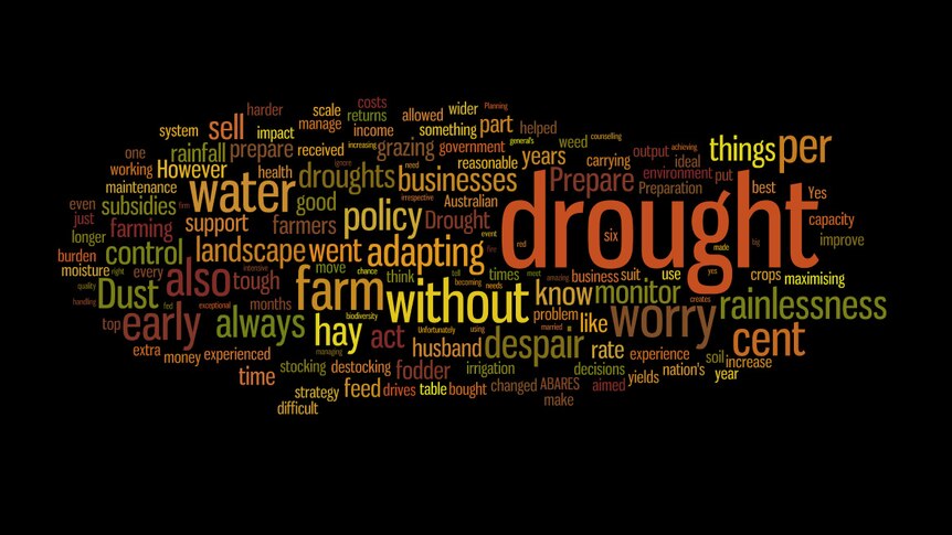 A collage of words used by the farmer forum to describe drought.