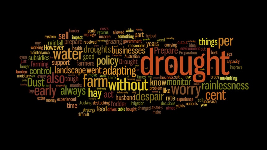 A collage of words used by the farmer forum to describe drought.