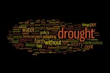 A collage of words used by the farmer forum to describe drought.