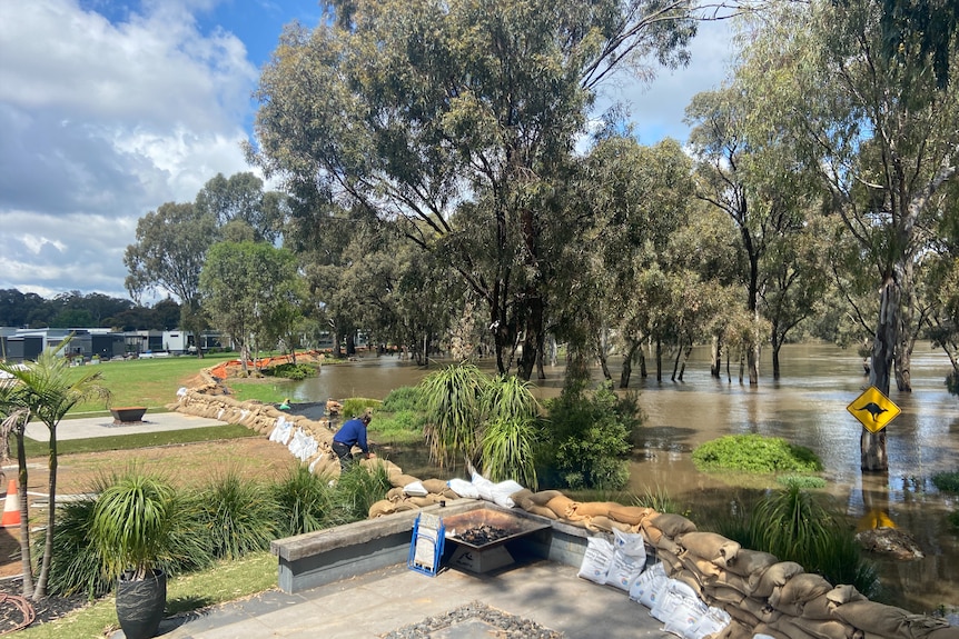 A stretch of sandbags holding back flood water