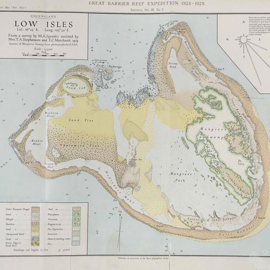 A survey map of Low Isles as they existed in 1928.
