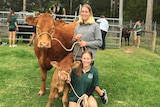 Two girls stand holding a cow and her calf by a rope as others work with cattle in the background.
