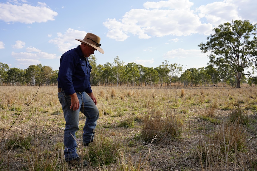 a mid shot of a man standing in a paddock testing soil