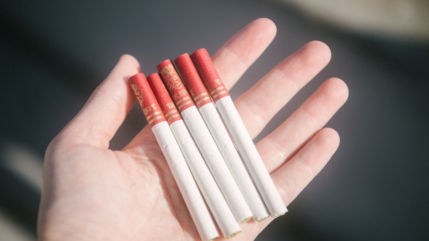 A hand holding several cigarettes