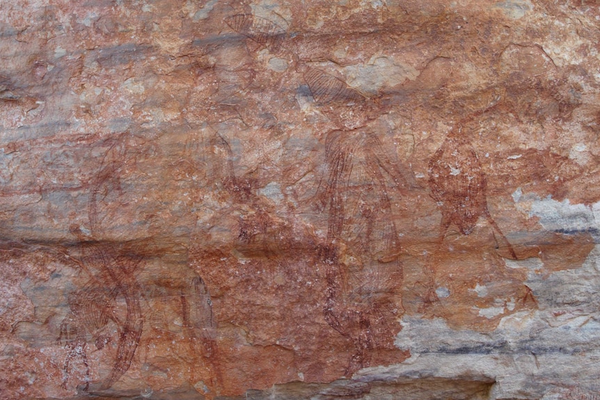 In between the Muliwawa man and kangaroo in this painting is a half kangaroo/half man figure.